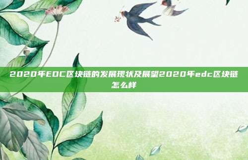 2020年EDC区块链的发展现状及展望2020年edc区块链怎么样