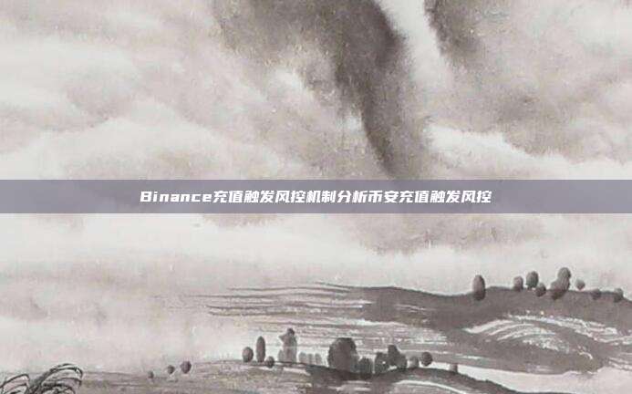 Binance充值触发风控机制分析币安充值触发风控