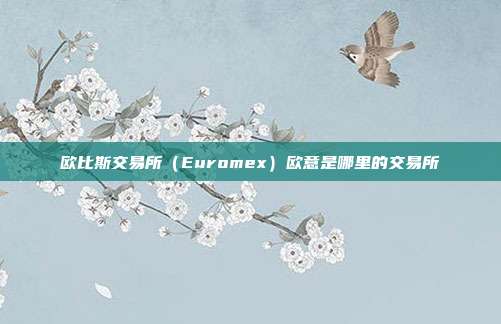 欧比斯交易所（Euromex）欧意是哪里的交易所