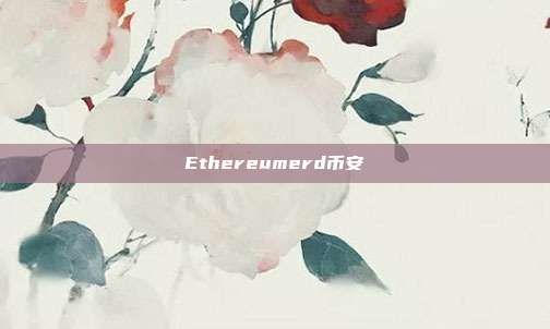 Ethereumerd币安