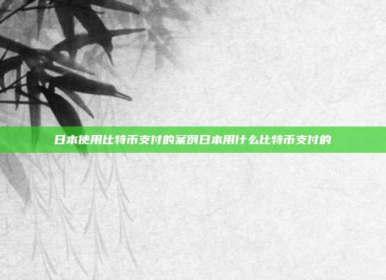 日本使用比特币支付的案例日本用什么比特币支付的