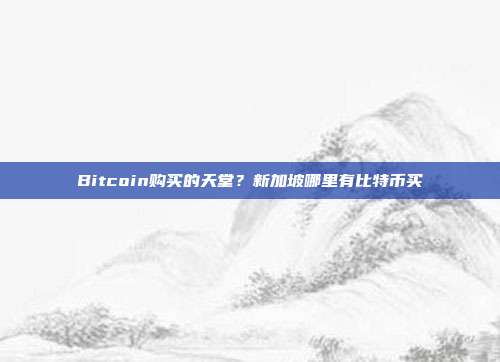 Bitcoin购买的天堂？新加坡哪里有比特币买