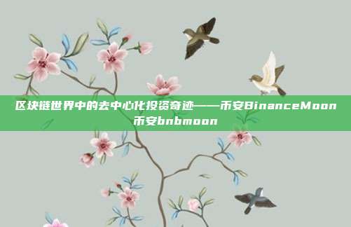 区块链世界中的去中心化投资奇迹——币安BinanceMoon币安bnbmoon