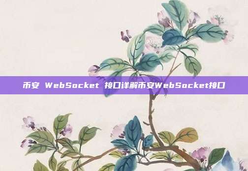 币安 WebSocket 接口详解币安WebSocket接口