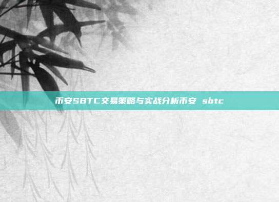 币安SBTC交易策略与实战分析币安 sbtc