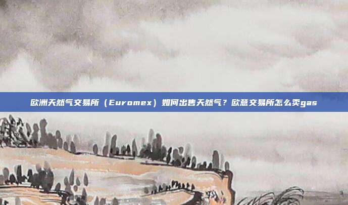 欧洲天然气交易所（Euromex）如何出售天然气？欧意交易所怎么卖gas