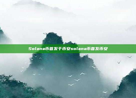 Solana币首发于币安solana币首发币安