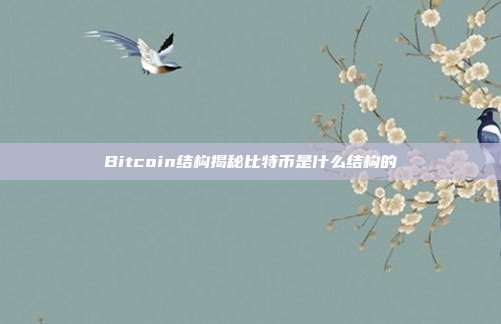 Bitcoin结构揭秘比特币是什么结构的