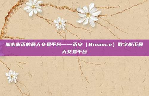 加密货币的最大交易平台——币安（Binance）数字货币最大交易平台