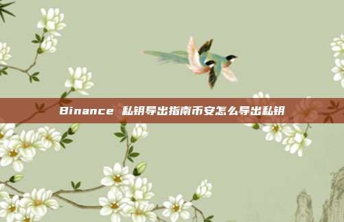 Binance 私钥导出指南币安怎么导出私钥