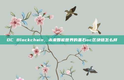 OC Blockchain，未来智能世界的基石oc区块链怎么样