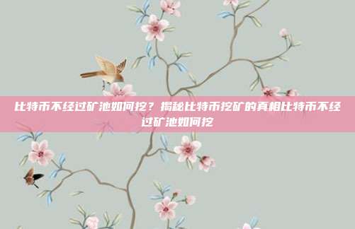 比特币不经过矿池如何挖？揭秘比特币挖矿的真相比特币不经过矿池如何挖