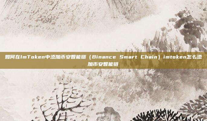 如何在ImToken中添加币安智能链（Binance Smart Chain）imtoken怎么添加币安智能链