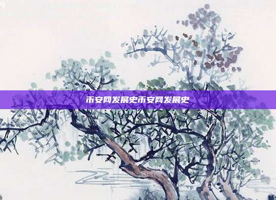 币安网发展史币安网发展史