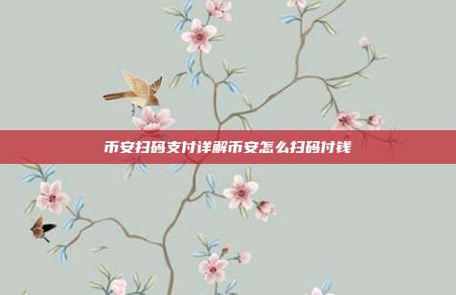 币安扫码支付详解币安怎么扫码付钱