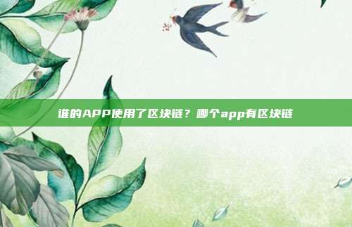 谁的APP使用了区块链？哪个app有区块链