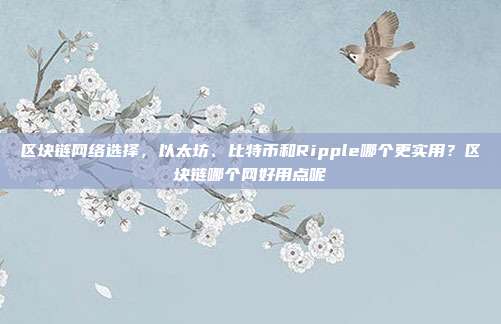 区块链网络选择，以太坊、比特币和Ripple哪个更实用？区块链哪个网好用点呢