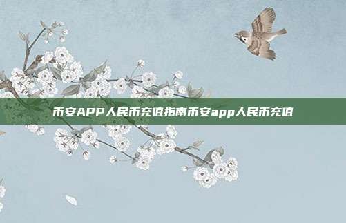 币安APP人民币充值指南币安app人民币充值