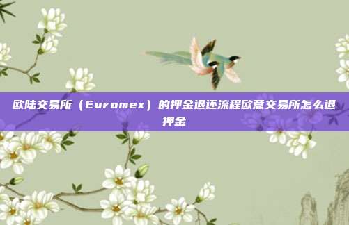 欧陆交易所（Euromex）的押金退还流程欧意交易所怎么退押金