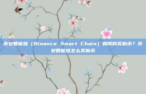 币安智能链（Binance Smart Chain）如何购买新币？币安智能链怎么买新币