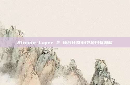 Bitcoin Layer 2 项目比特币l2项目有哪些