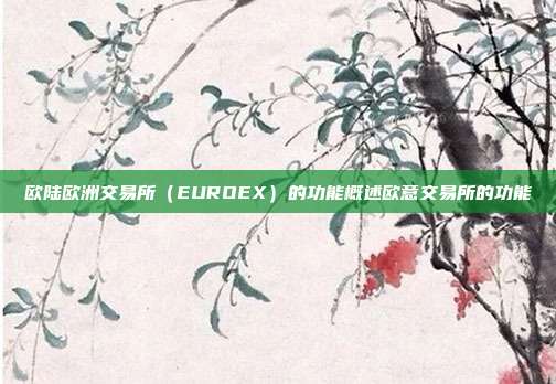 欧陆欧洲交易所（EUROEX）的功能概述欧意交易所的功能