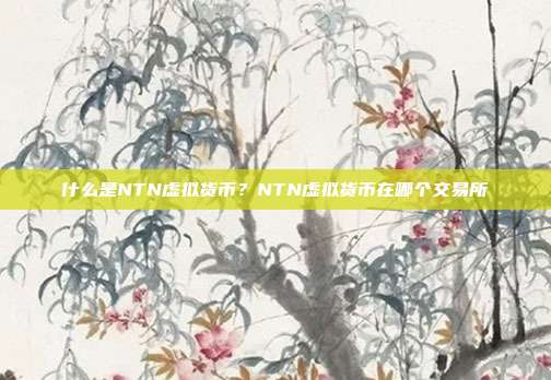 什么是NTN虚拟货币？NTN虚拟货币在哪个交易所