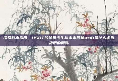 探索数字货币，USDT的前世今生与未来展望usdt是什么虚拟货币的简称