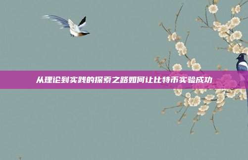 从理论到实践的探索之路如何让比特币实验成功