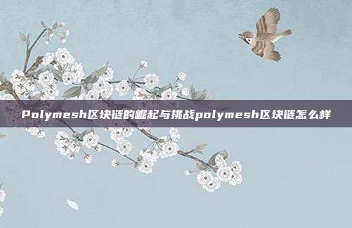 Polymesh区块链的崛起与挑战polymesh区块链怎么样