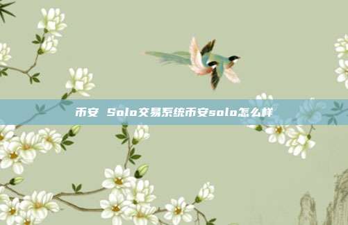 币安 Solo交易系统币安solo怎么样