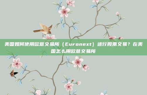 美国如何使用欧意交易所（Euronext）进行股票交易？在美国怎么用欧意交易所