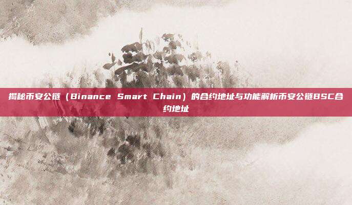 揭秘币安公链（Binance Smart Chain）的合约地址与功能解析币安公链BSC合约地址