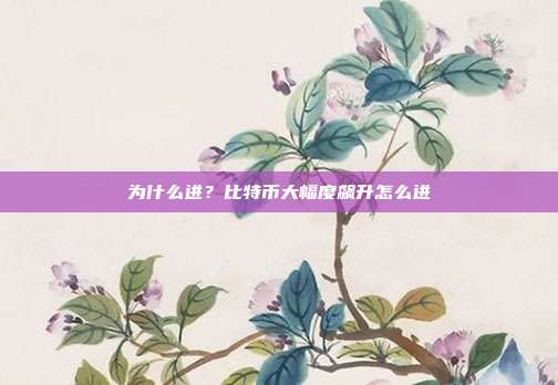 为什么进？比特币大幅度飙升怎么进