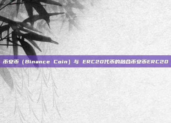 币安币（Binance Coin）与 ERC20代币的融合币安币ERC20