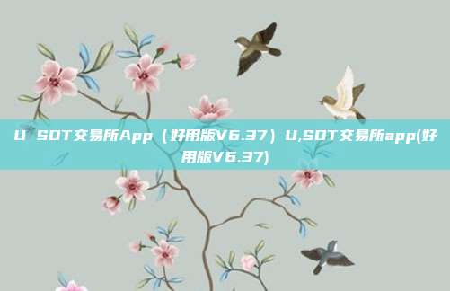 U SDT交易所App（好用版V6.37）U,SDT交易所app(好用版V6.37)