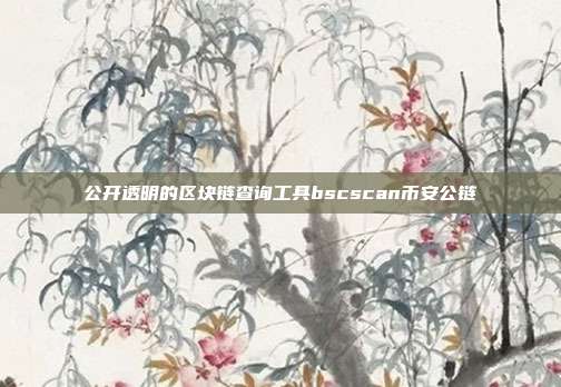 公开透明的区块链查询工具bscscan币安公链