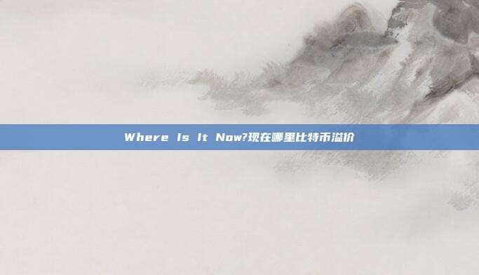 Where Is It Now?现在哪里比特币溢价