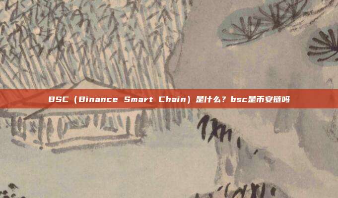 BSC（Binance Smart Chain）是什么？bsc是币安链吗