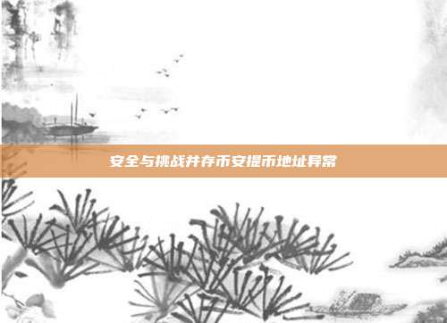 安全与挑战并存币安提币地址异常