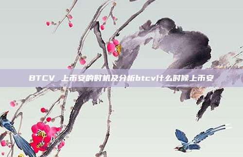 BTCV 上币安的时机及分析btcv什么时候上币安