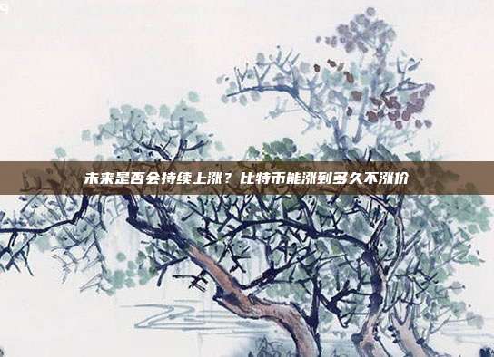 未来是否会持续上涨？比特币能涨到多久不涨价