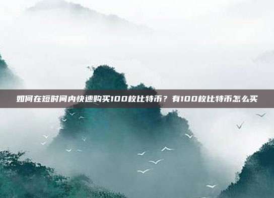 如何在短时间内快速购买100枚比特币？有100枚比特币怎么买