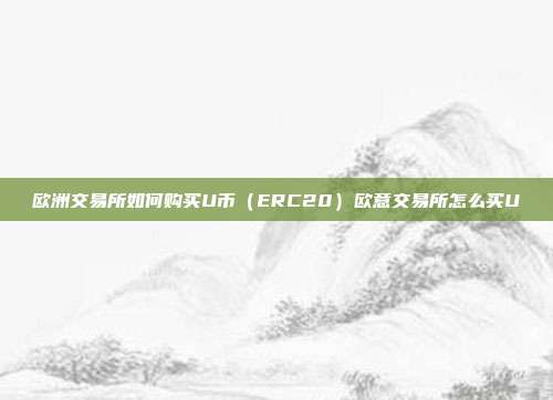 欧洲交易所如何购买U币（ERC20）欧意交易所怎么买U