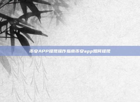 币安APP提现操作指南币安app如何提现