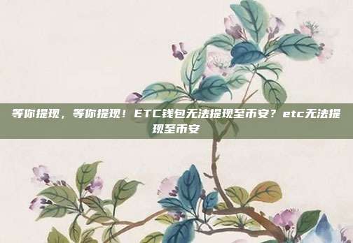 等你提现，等你提现！ETC钱包无法提现至币安？etc无法提现至币安