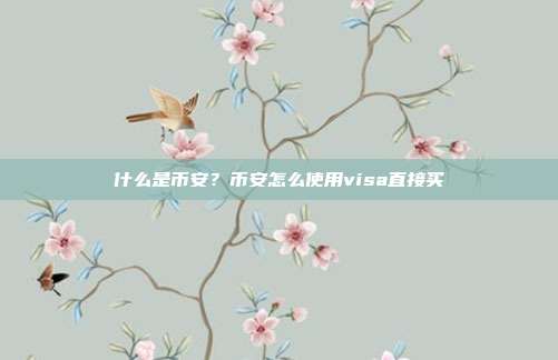 什么是币安？币安怎么使用visa直接买