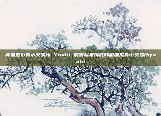 韩国虚拟货币交易所 Youbi 的崛起与挑战韩国虚拟货币交易所youbi