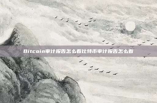 Bitcoin审计报告怎么看比特币审计报告怎么看