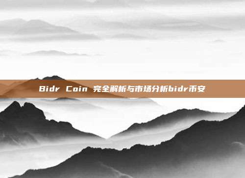 Bidr Coin 完全解析与市场分析bidr币安